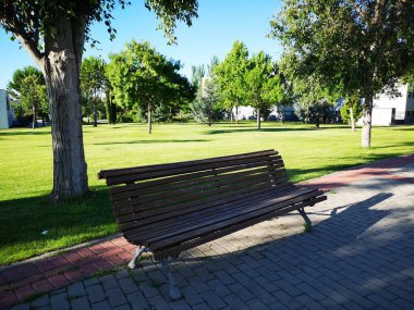 Üniversite kampüsündeki bankta.