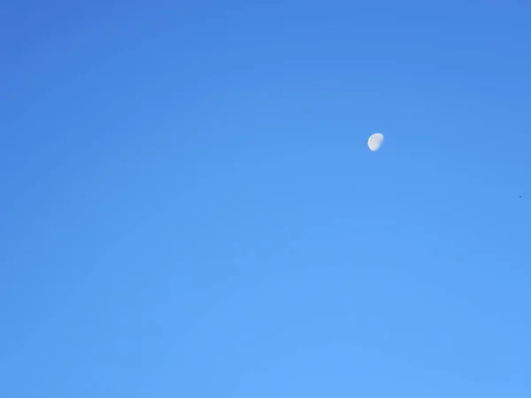 Lune Brillante Brillante Matin Bleu — Photo