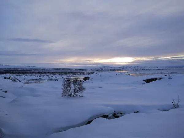 早上在冰原上的冬光 — 图库照片