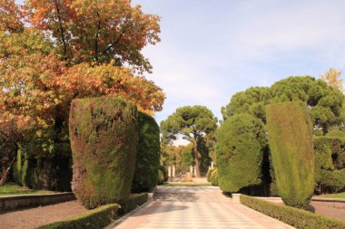 Garden trees in Madrid retiro park