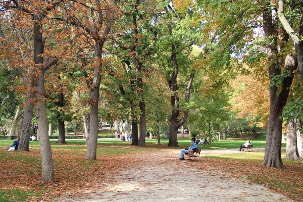 Garden Trees Madrid Retiro Park — Stock Photo, Image