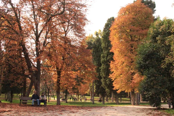 Garden Trees Madrid Retiro Park — Stockfoto