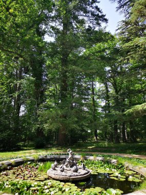 Spanish garden in La Granja water lily