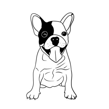 Oturan ve oynamaya hazır olan mutlu bulldog