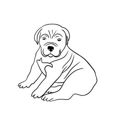 Küçük şirin köpek yavrusu bastonu. Korso italyan mastifi. Beyaz arkaplanda siyah çizgi sanatı
