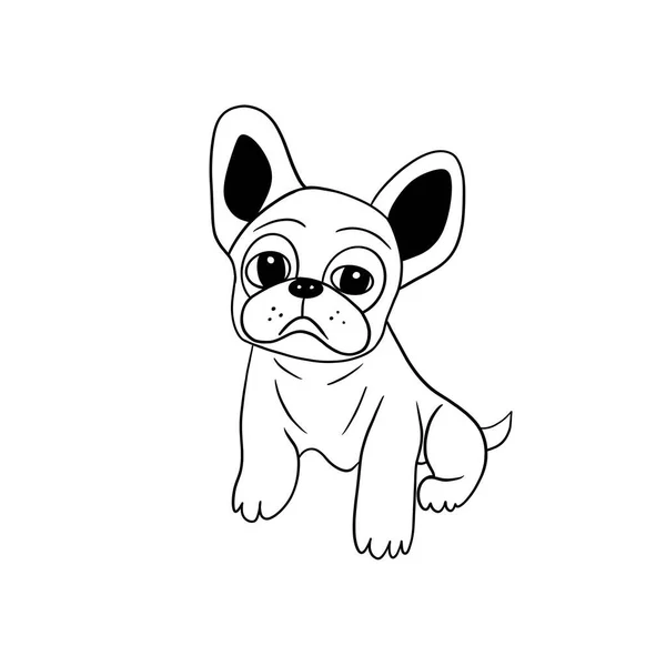 Petit Chiot Bulldog Offensé Croquis Illustration Lignes Noires Sur Fond — Photo