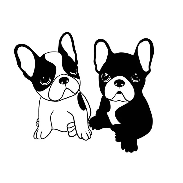Dos Cachorros Bulldog Pequeños Blanco Negro — Foto de Stock