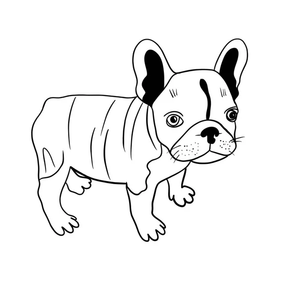 Silueta Simple Cachorro Bulldog Francés Líneas Negras Sobre Fondo Blanco —  Fotos de Stock