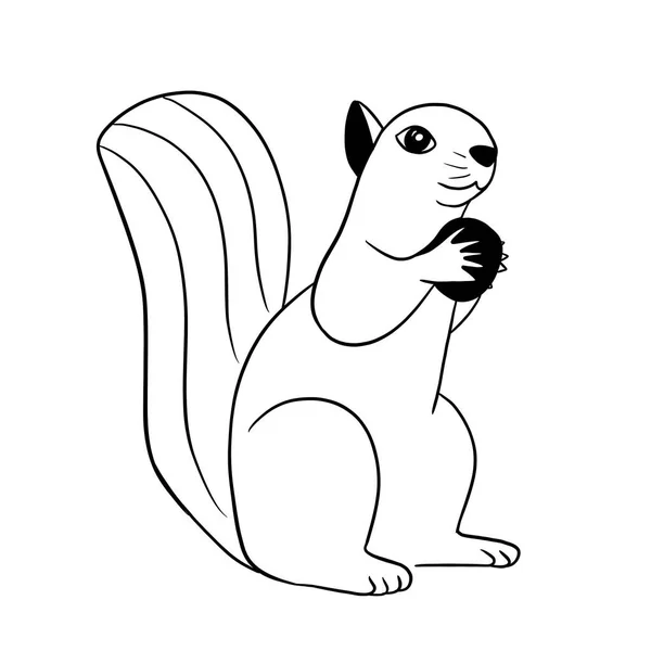 Kaunis Orava Jolla Pähkinä Tassuissaan Taide Kuvitus Mustilla Viivoilla Valkoisella — kuvapankkivalokuva