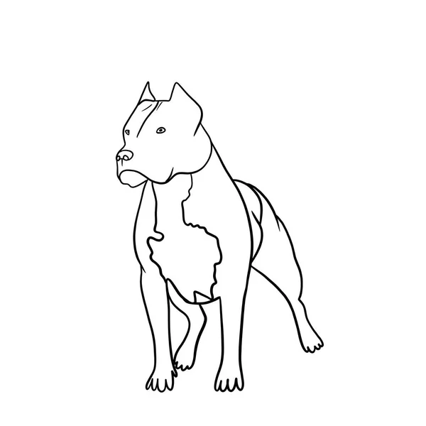 Simple Silhouette Pit Bull Rack White Background Ink — Stock Photo, Image
