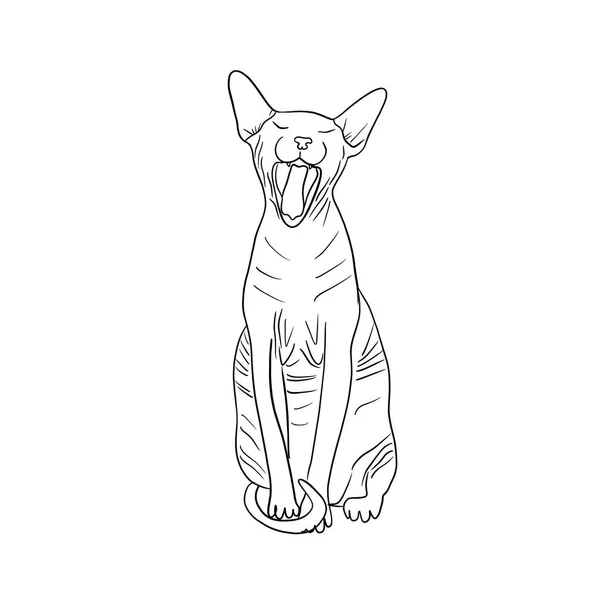 Enkel Konst Skiss Siluett Sfinx Katt Som Gäspar Vit Bakgrund — Stockfoto