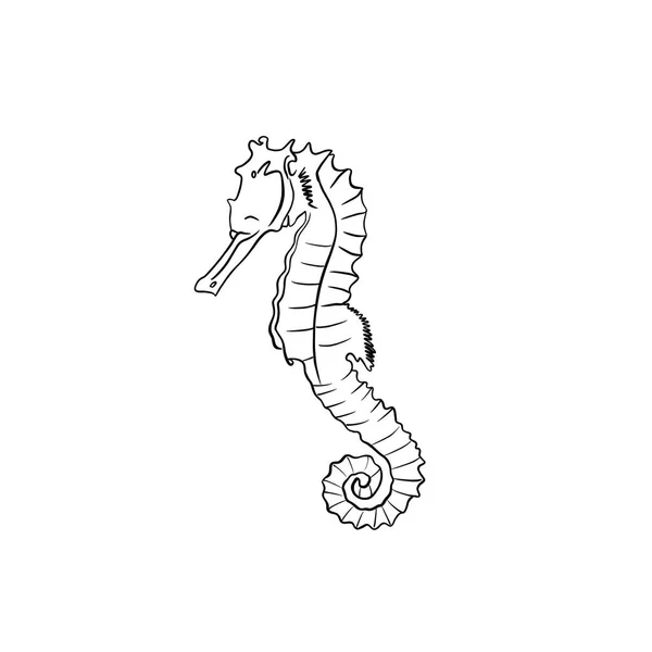 Simple Sketch Illustration Seahorse White Background Ink — Stock Photo, Image