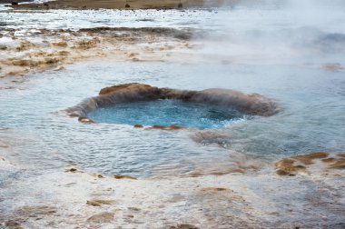Gayzer, Geysir alanı