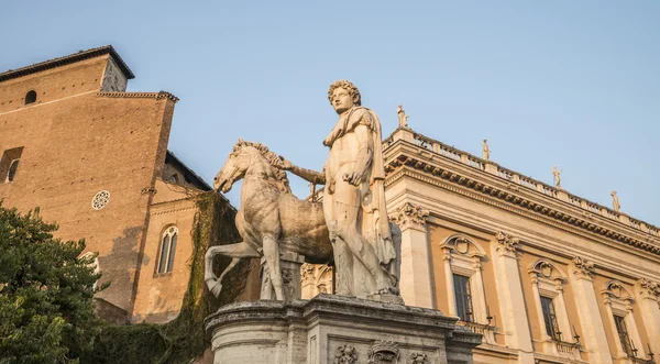 Michelangelo's Piazza del Campidoglio - one of the statues of the Dioscuri on sunset. View 1.Rome. Italy. — Stock Photo, Image