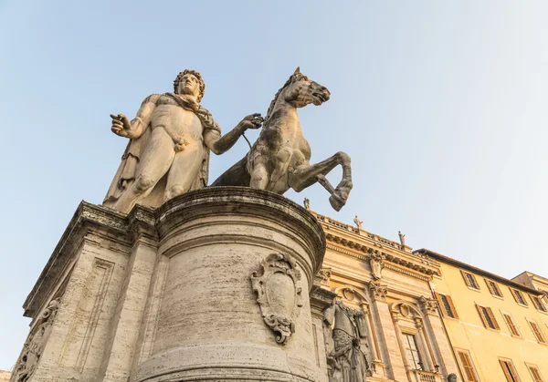 Michelangelo's Piazza del Campidoglio - one of the statues of the Dioscuri on sunset. View 2.Rome. Italy. — Stock Photo, Image