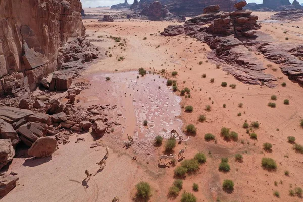 Areia Rocha — Fotografia de Stock