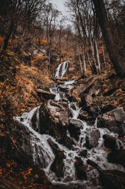 Dağlarda şelale. Kafkas dağları. Soçi..