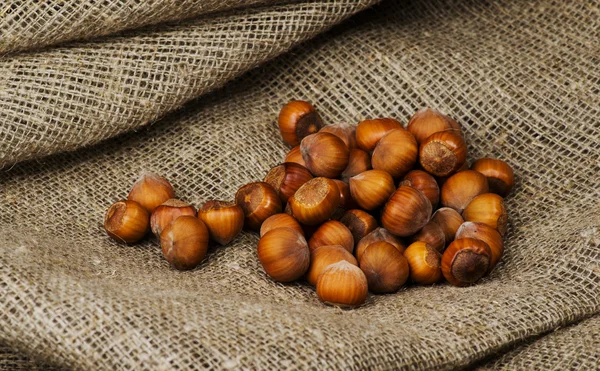 Купа лісових горіхів в мушлі на дерев'яному столі — стокове фото