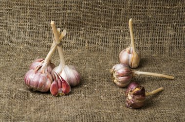 Organik sarımsak ahşap bir masa içinde belgili tanımlık geçmiş