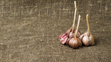 Organik sarımsak ahşap bir masa içinde belgili tanımlık geçmiş