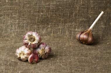 Organik sarımsak ahşap bir masa içinde belgili tanımlık geçmiş