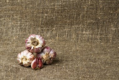 Organik sarımsak ahşap bir masa içinde belgili tanımlık geçmiş