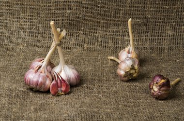 Organik sarımsak ahşap bir masa içinde belgili tanımlık geçmiş