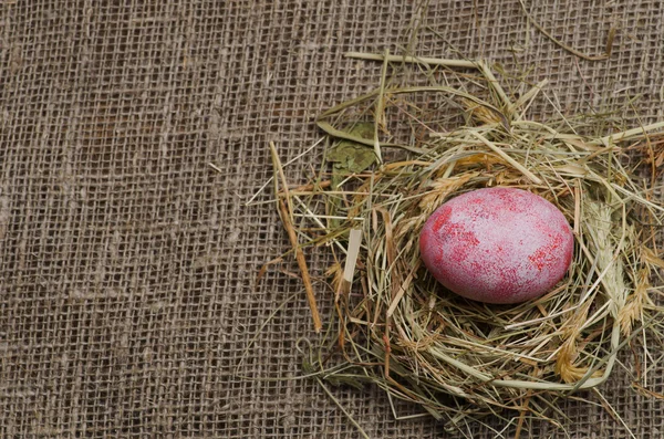 Easter eggs in the nest on wooden background. — Stock Photo, Image