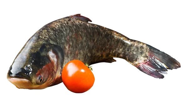 Peixe e tomate isolados sobre fundo branco — Fotografia de Stock