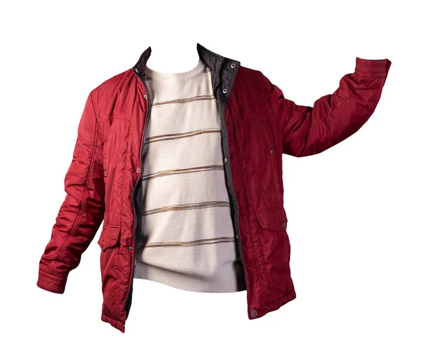 Red Jacket Beige Brown Sweater Isolated White Background Bologna Jacket — 스톡 사진
