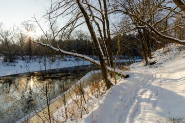Güneşli bir günde, karlı bir orman ve nehir. Beyaz Rusya 'nın kış doğası