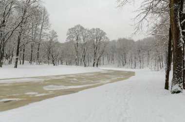 Kış parkında donan nehir. Kardaki ağaçlar. Sos soslu kış doğası