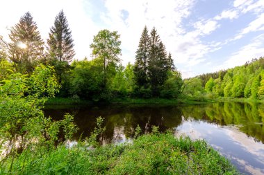 Yaz ormanının ortasında bir nehir. Akşamları çok güzel doğa.