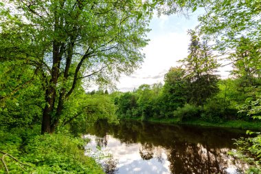 Ormanlarla çevrili bir nehir. Akşamları çok güzel.