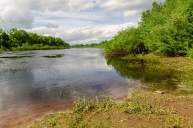 Yazın yeşil ağaçların olduğu ortamda nehir