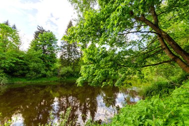 Ormanlarla çevrili bir nehir. Akşamları çok güzel.