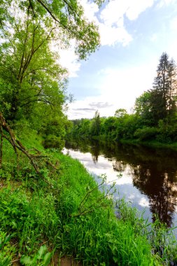 Ormanlarla çevrili bir nehir. Akşamları çok güzel.