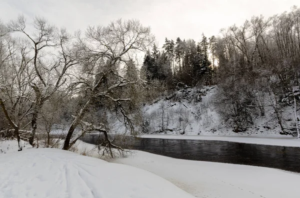 Rivier Stroomt Het Winterbos Aard Van Belarus — Stockfoto