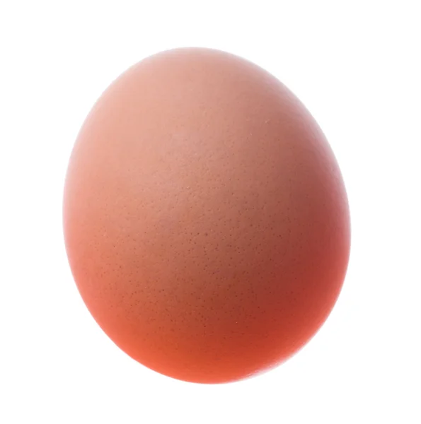 Egg — Stock Photo, Image