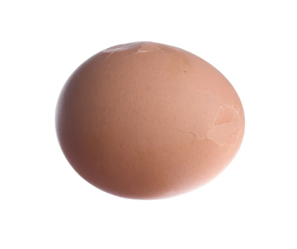 Egg — Stock Photo, Image