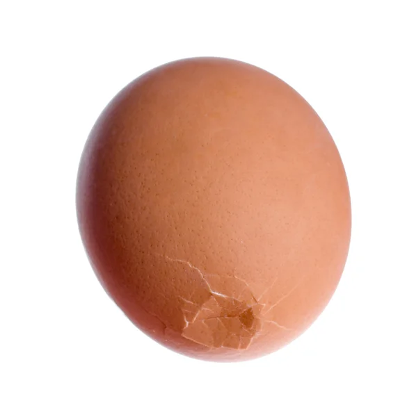 Egg — Stock Photo, Image