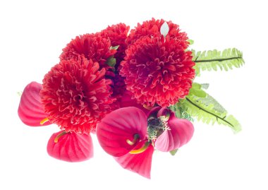 beyaz zemin üzerine kırmızı yapay çiçekler