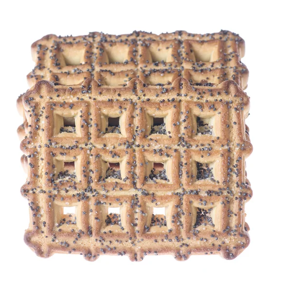Robuste leckere Kekse isoliert auf weißem Hintergrund — Stockfoto