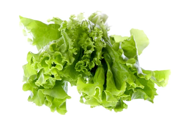 Salade kruid geïsoleerd op een witte — Stockfoto