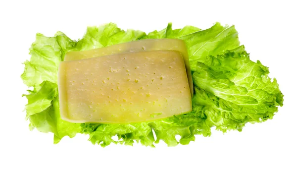 Patty, kaas, sla plant, geïsoleerd op witte achtergrond — Stockfoto