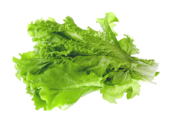 Salade kruid geïsoleerd op een witte — Stockfoto