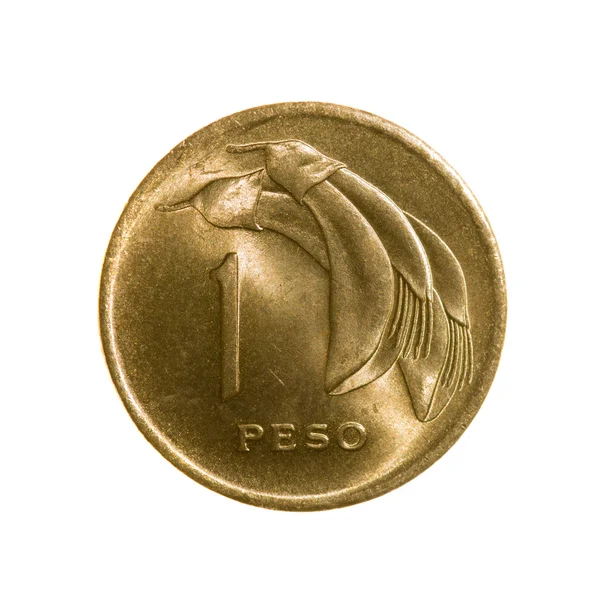 乌拉圭硬币孤立在白色背景上的一个比索。顶视图. — 图库照片