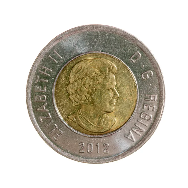 Moneda de dos dólares Canadá aislado sobre un fondo blanco. Top vie —  Fotos de Stock