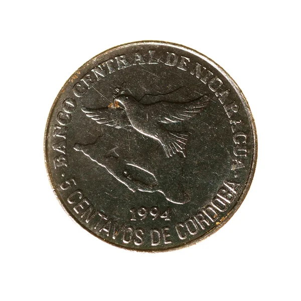 Monedas de metal cinco centavos Nicaragua aislado sobre fondo blanco —  Fotos de Stock