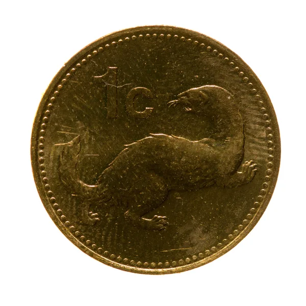 Kovové mince jednoho centu Malta izolovaných na bílém pozadí — Stock fotografie